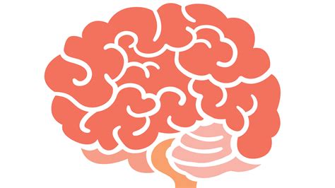 Image result for Trauma Brain Development