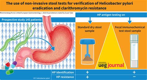 The use of non‐invasive stool tests for verification of Helicobacter ...