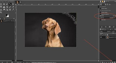 Image result for GIMP Tutorial On Removing Any Background