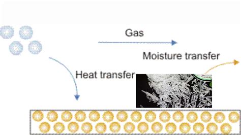 Extraction Drying Agent 的图像结果