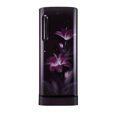 Buy LG 235 L 3 Star Direct Cool Single Door Refrigerator(GL-D241APGD ...