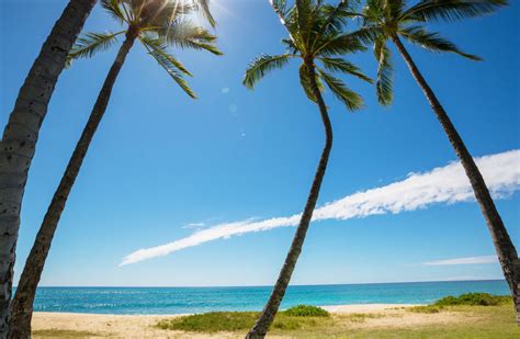 天夏威夷海滩全景中的海浪高清图片下载-正版图片502540436-摄图网