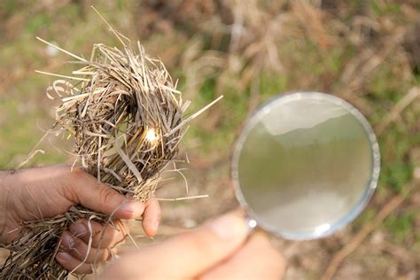 How to Darw a Fire 的图像结果