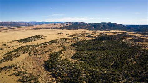 Undeveloped Land 的图像结果
