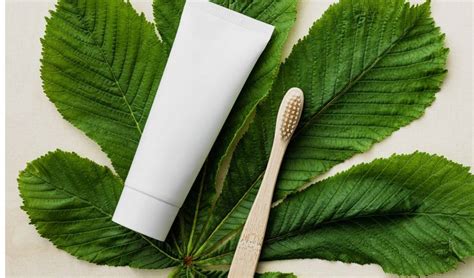 Image result for Natural Toothpaste Making