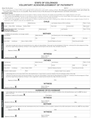 Colorado Paternity 2011-2025 - Fill and Sign Printable Template Online
