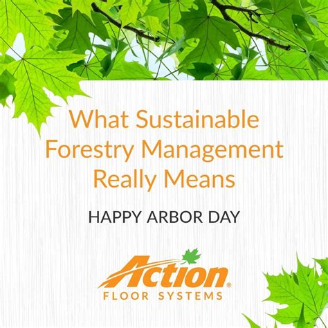 How actionfloors can boost forest growth #actionfloors #arborday # ...