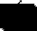 bureau Plattner | Services