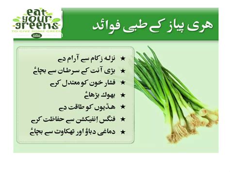 Medicinal value of vegetables in urdu A Lecture By Allah Dad Khan | PPTX