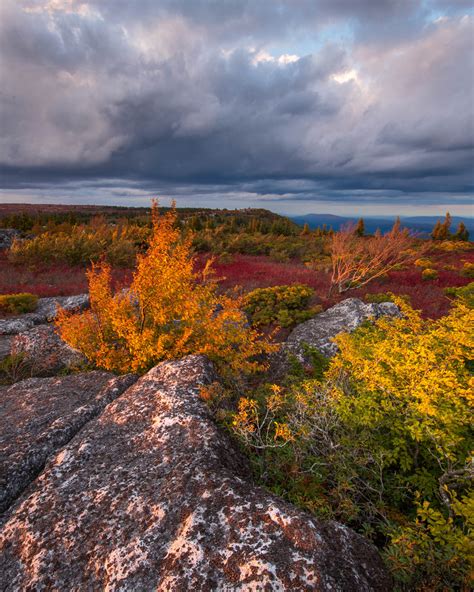 Autumn color along the Allegheny Front from Dolly Sods at sunset ...