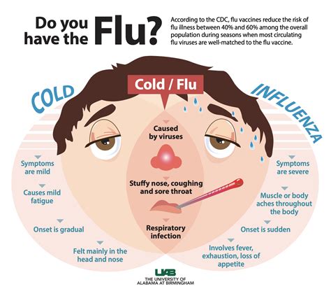 Influenza (flu) is a contagious respiratory illness caused by influenza viruses that infect the ...