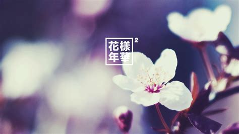 BTS Album Computer Wallpapers - Top Free BTS Album Computer Backgrounds - WallpaperAccess