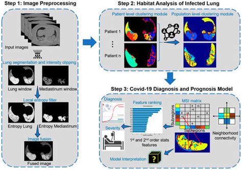 Habitat Imaging Biomarkers for Diagnosis and Prognosis in Cancer ...