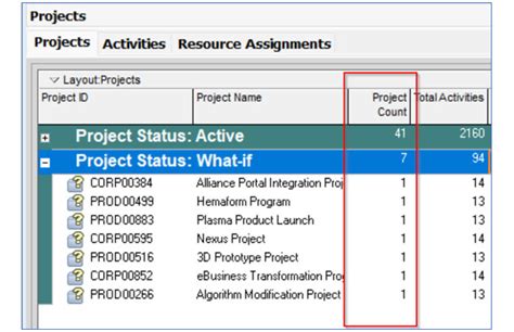 Image result for Oracle Primavera P6 Software Invoice