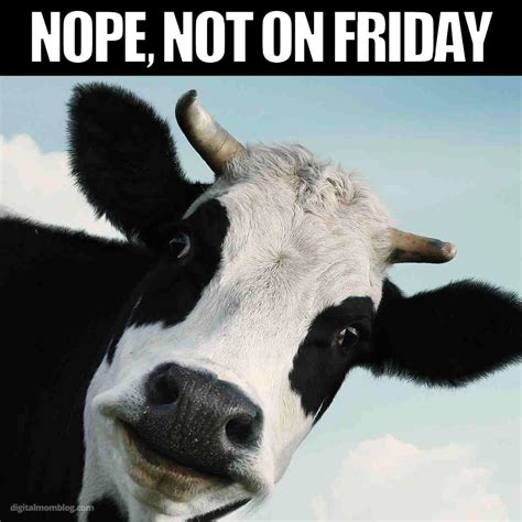 These 13 Hilarious No Meat On Friday Memes Deliver No Beef