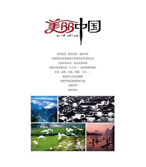 “中华汉字艺术展”|平面|海报|蒋晨JackChen - 原创作品 - 站酷 (ZCOOL)