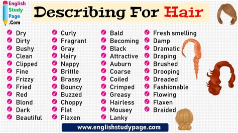 47 Describing Words For Hair - English Study Page