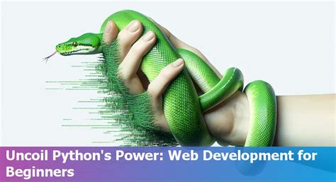Image result for Python Coding Web Development Tutorial