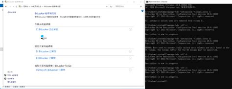 Turn Off BitLocker Windows 1.0 的图像结果