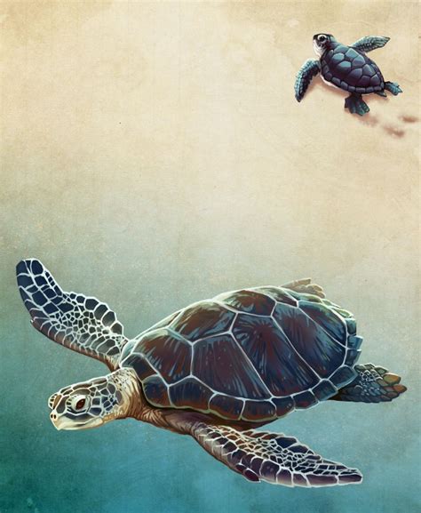 Loggerhead Turtle Predators 的图像结果