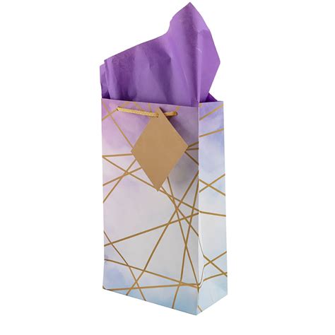 Birch & Co. Gift Bags - Paper Bags for Return Gifts - Small Carry Bags ...