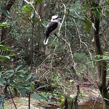 Mustang Tours Gold Coast Pty Ptd - 2022 What to Know Before You Go ...