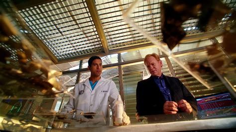 Watch CSI: Miami Season 10 Episode 14: Last Straw - Paramount+
