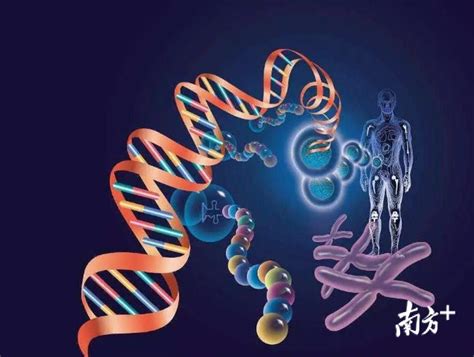 Cell Insight | 我室蓝柯/陈宇等综述新冠病毒突变体的进化动力和突变特征 - 生物通