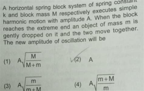 Spring Block System 的图像结果