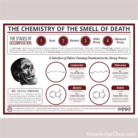 Image result for Decimation of Compounds