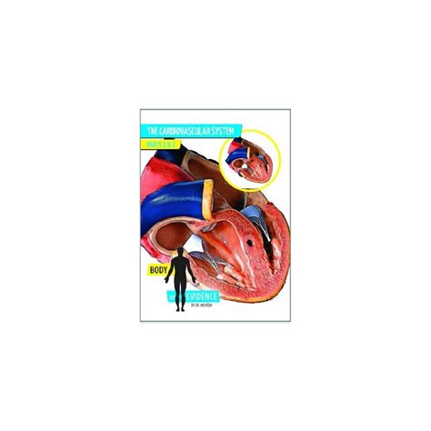 Buy Body of Evidence: The Cardiovascular System by Answers in Genesis ...