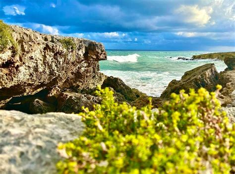 COZUMEL ISLAND EXCURSIONS (2026) All You Need to Know BEFORE You Go ...