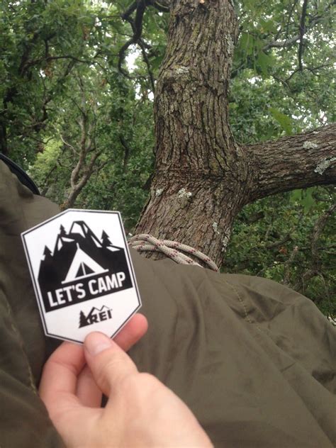 Image result for How to Bilde a Tree Nete