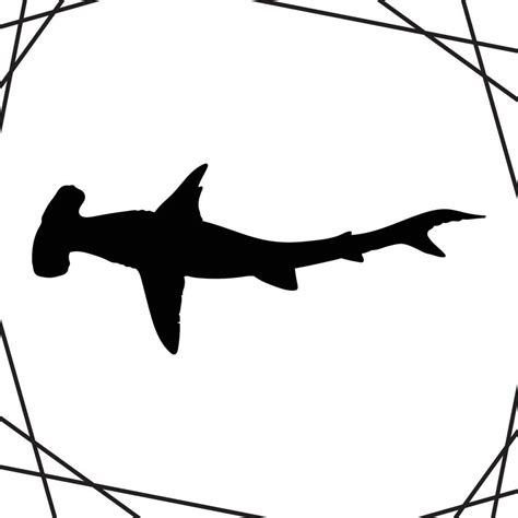 Image result for Python Language Images Encapsulation