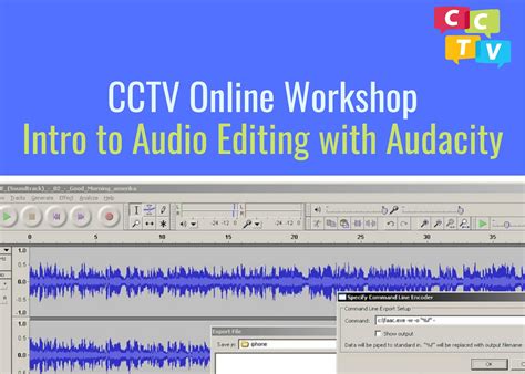 Image result for Audacity Editing