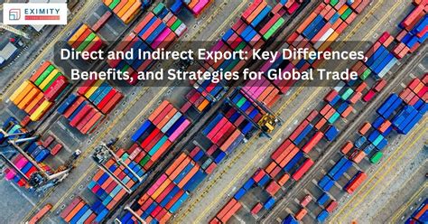 Example Direct Export 的图像结果