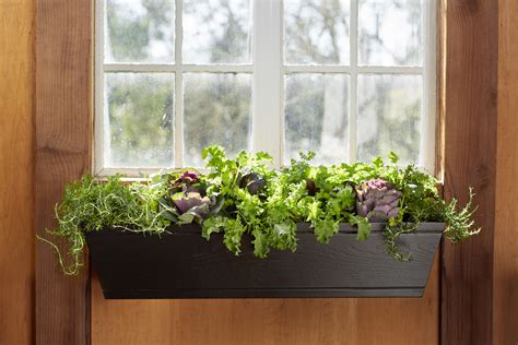 Window Boxes Garden Supply at Indiana Seery blog