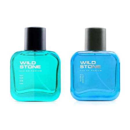 Buy Wild Stone Perfumes for Men Online in India | Wild Stone