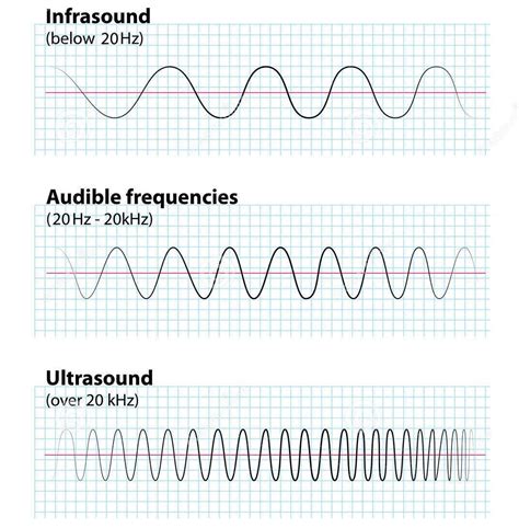 Memoir: What is the difference between supersonic, ultrasonic, and infrasonic waves?