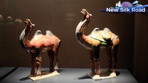 Live: Trace the history of the Silk Road at China Silk Museum - CGTN