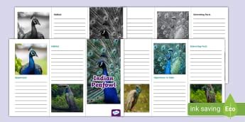 India Teaching Resources - Twinkl