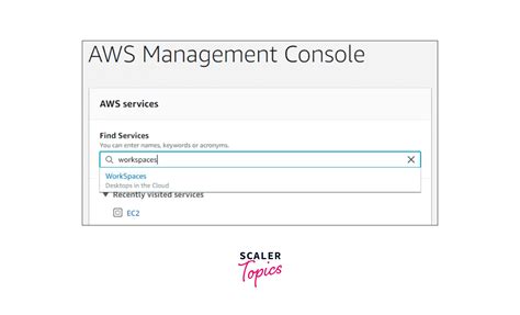 AWS Workspaces Client 的图像结果