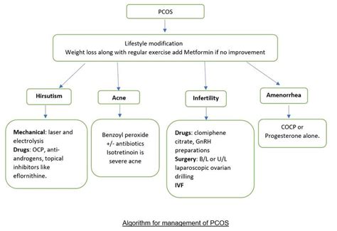 Understanding Polycystic Ovarian Syndrome and its Complications