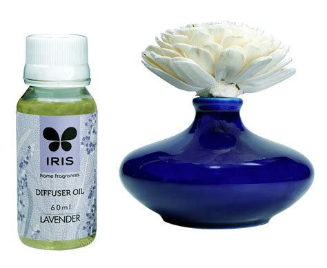 Iris Sola Flower Ceramic Reed Diffuser (Blue, with 60ml Oil) : Amazon ...
