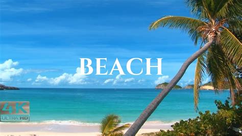 Image result for Beach Resorts Java
