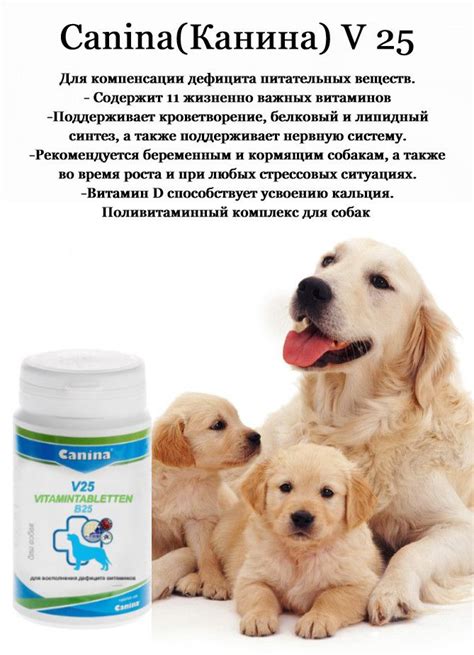 Витамины для собак мелких, средних и крупных пород Canina V25, для ...