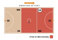 Netball Position 的图像结果