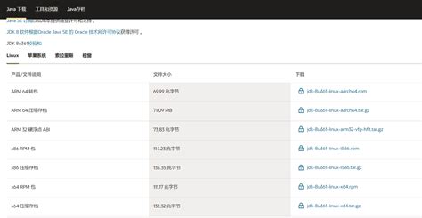 Java 64-Bit 1.8.0 Download 的图像结果