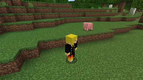 Image result for Free Look Minecraft Java