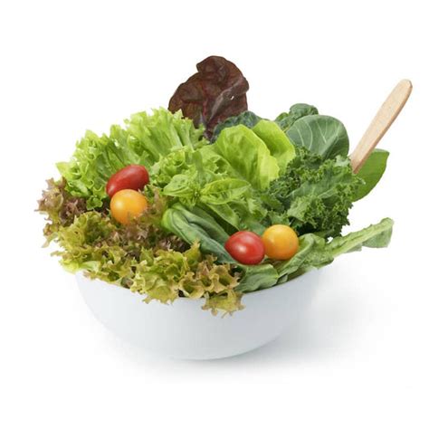 Hydroponic Salad Mix